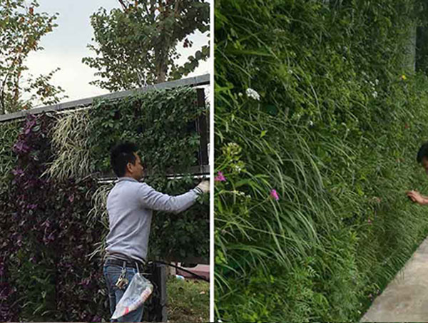 铜仁立体绿化设计的核心原则