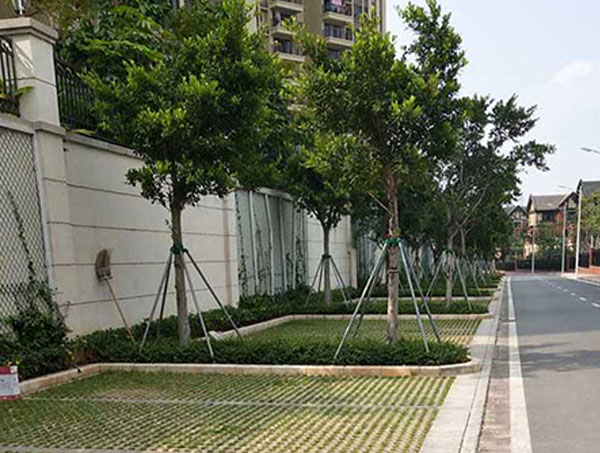 铜仁植草砖的功能优势与实际应用 城市绿化铺装专用建材